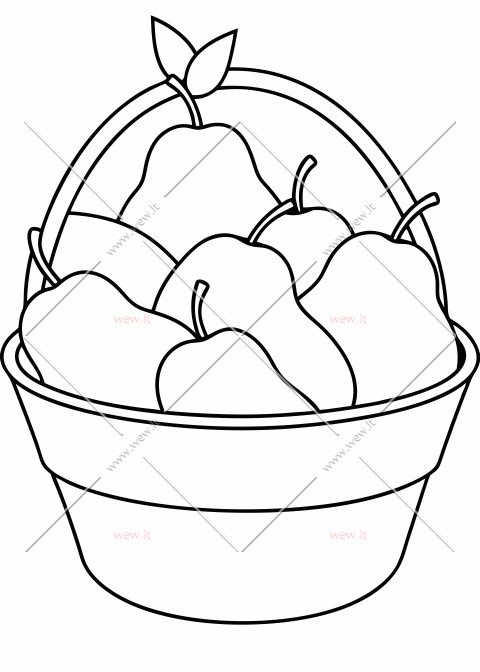 Kriaušių derlius pintinėje