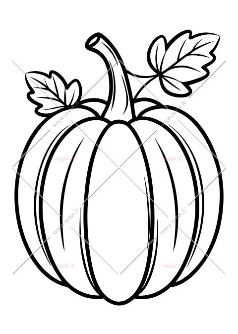 Rudens daržovė moliūgas