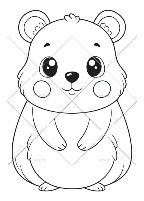 Mažasis Kvoka - Australijos gyvūnas