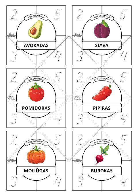 Skiemenų kortelės. Nr.5