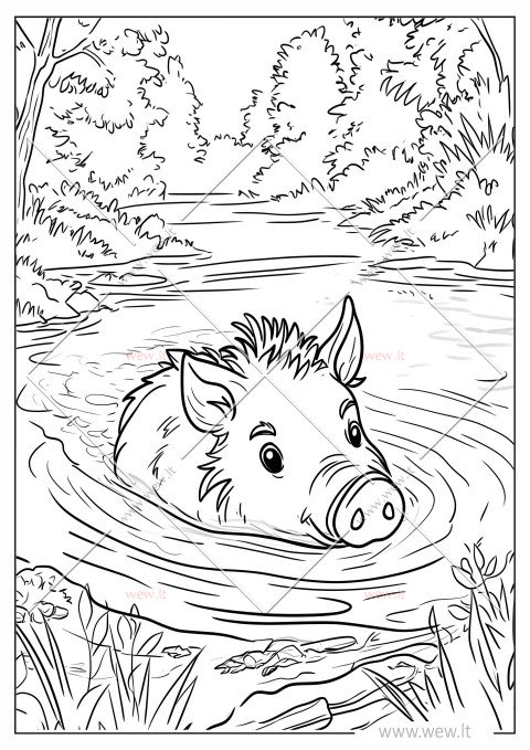 Šernas maudosi upėje - spalvinti vaikams