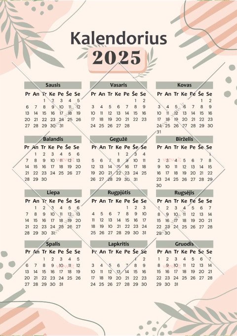 2025 metų kalendorius atsisiųsti