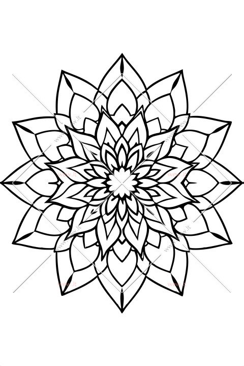 mandala - gyvybės žiedas