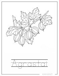 Agrastai spalvinti