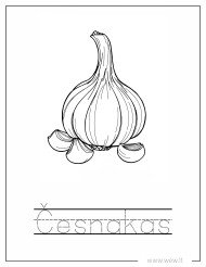 Česnakas - rudens derlius spalvinti