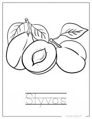 Prinokusios slyvos spalvinti