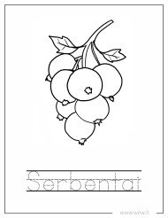 Serbentai spalvinti