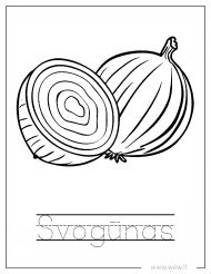 Svogūnas spalvinti