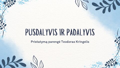 Pusdalyvis ir padalyvis
