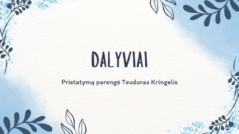 DALYVIAI