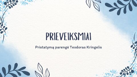 Prieveiksmis